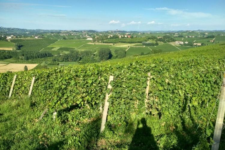 Ca'Rapulin Villa Calosso Buitenkant foto