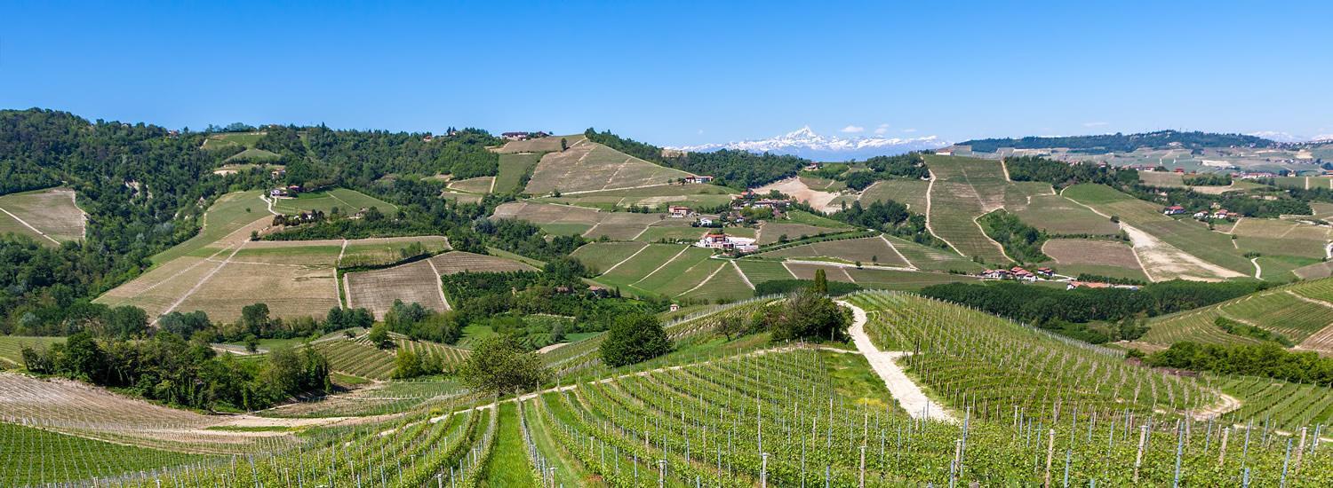 Ca'Rapulin Villa Calosso Buitenkant foto